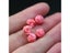 7mm Double Colored Artificial Tulip Flower Beads For DIY Jewelry Carousel 6