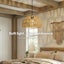 Emitto Ceiling Pendant Light Shade Vintage Lamp Light Cover Home Decoration Carousel 4