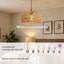 Emitto Ceiling Pendant Light Shade Vintage Lamp Light Cover Home Decoration Carousel 5
