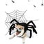 Spider Back Design Pet Halloween Costume Fits Cats Small/Medium Dogs Puppies Carousel 1