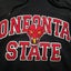 Champion Oneonta State Black Hoodie Sweatshirt Size Large Jersey Carousel 3