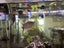 Fisk tank full setup with fish Carousel 2