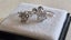 $1 RES * RRP $10,000.00 * 2.04ct DIAMOND EARRING in Platinum w/NZ Val Carousel 10