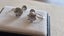 $1 RES * RRP $10,000.00 * 2.04ct DIAMOND EARRING in Platinum w/NZ Val Carousel 12