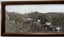 ANTIQUE PANORAMIC PHOTOGRAPH OF HALF MOON BAY, STEWART ISLAND Carousel 2