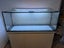 Large Aquarium setup - 450 litres Carousel 1