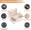 Jewelry Box Organizer for Women Girls, 2 Layer Large Men Storage Case, PU Lea Carousel 6