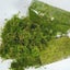 Compressed Sphagnum Moss for Potted Plant Orchid P Carousel 2