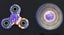 Fidget Spinner Carousel 4
