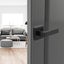 Privacy Door Handle 5 PCS Matte Black Square Door Lever with Keyless Lock Carousel 8
