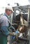 Veehof Dairy Services ltd Carousel 5