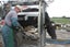 Veehof Dairy Services ltd Carousel 6