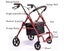 Mobility Walker (Over Stocked) Carousel 7
