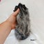 Baby guineapigs Carousel 3