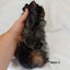 Baby guineapigs Carousel 5