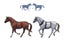 Wooden Ship - 2 horses: 1/12 Stage Coach Carousel 4