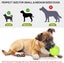 Ball Thrower for Dogs,Interactive dog fetch machine,Automatic Ball Launcher f Carousel 2