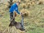 Guided or unguided fallow and wallaby hunts Carousel 5