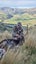 Guided or unguided fallow and wallaby hunts Carousel 7