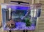 Small Fish Tank and Accessories Carousel 1