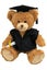 Classic Graduation Bear Carousel 1