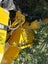 SANY Concrete pump. Used once. Located hamilton Carousel 4