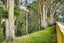 gallery view thumbnail