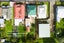 gallery view thumbnail