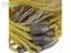 Surfmaster Monofilament Mullet Set and Drag Net 2… Carousel 3