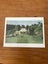 9X NATIONAL LIBRARY CARDS/Note card Carousel 16