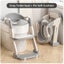 Potty Training Seat with Step Stool Ladder Grey 2046901 Carousel 1