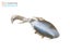 Z-Man Kicker CrabZ Soft Bait The Deal Qty 3 Carousel 3