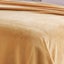 Solid Color Upgraded Fleece Throw Blanket Suitable for Multiple Scenarios Sui Carousel 6