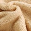 Solid Color Upgraded Fleece Throw Blanket Suitable for Multiple Scenarios Sui Carousel 8
