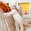 Halloween Pillow Covers 18 x 18 Inch, Soft Linen Trick or Treat Pillowcase, H Carousel 3