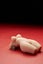 Body Shape Squishy Toy Soft Squeeze Doll | Stress Relief Funny Gift Carousel 8