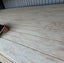 Plywood Utilityclad / Shadowclad Grooved 2440X1200X12MM H3.1 LOSP CLEAR Carousel 7