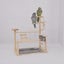 Bird Playground Parrot Playstand Wood Bird Perches Stand, Bird Play Gym Playp Carousel 2