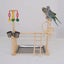 Bird Playground Parrot Playstand Wood Bird Perches Stand, Bird Play Gym Playp Carousel 3