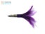 H2O Pro Mean Machine Abalone Feather Albacore Tun… Carousel 1