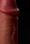 Vibrating Realistic Dildo Soft Silicone Waterproof Adult Toy NZ Stock Carousel 8