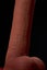 Vibrating Realistic Dildo Soft Silicone Waterproof Adult Toy NZ Stock Carousel 3