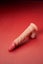 Realistic Silicone Dildo - Soft Body Safe Waterproof Easy Clean Adult Toy NZ Carousel 9
