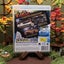 MotorStorm Pacific Rift - PS3 [Manual Included] Carousel 2