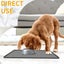 Pet Placemat for Dog and Cat, Mat for Prevent Food and Water Overflow, Suitab Carousel 7