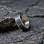 Black Steel Spinner Ring | Find Your Focus, Ease Anxiety, 8mm XD2DC-9 Carousel 3