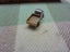 Vintage NZ Fun Ho Diecast Toy Chrome Midget No. 3 Austin Truck Funho New Zealand Carousel 5