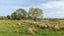 gallery view thumbnail