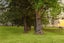 gallery view thumbnail