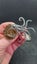 Ammonite fossil brooch - with small crystal beginning formations Carousel 1